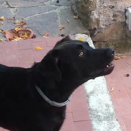 B.e.a. Maison Alojamento de Acomodação e Pequeno-almoço 3*