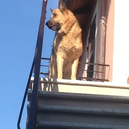 B.e.a. Maison Oda ve Kahvaltı La Spezia