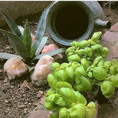 Oda ve Kahvaltı B.e.a. Maison La Spezia