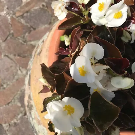 Frühstückspension B.e.a. Maison 3*