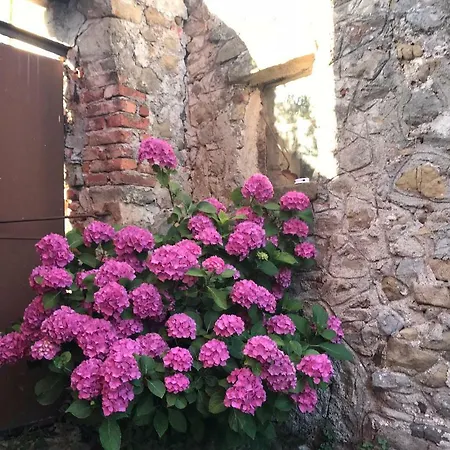 B.e.a. Maison 3* Специя