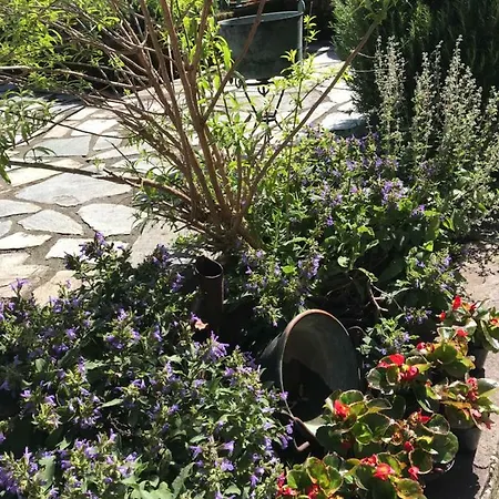 B.e.a. Maison Oda ve Kahvaltı 3*