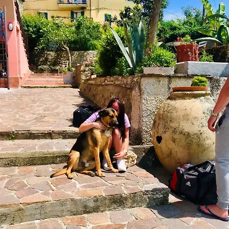 B.e.a. Maison Frühstückspension 3*