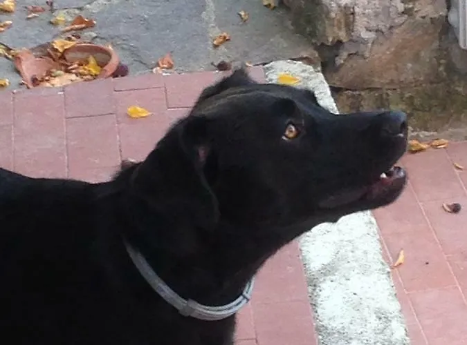 B.e.a. Maison Bed and Breakfast 3*