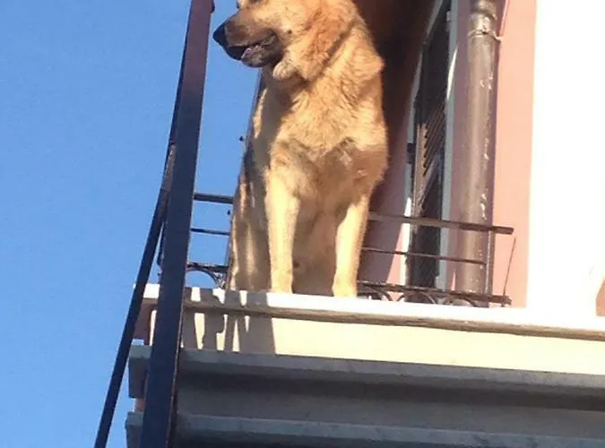 B.e.a. Maison Bed & Breakfast La Spezia