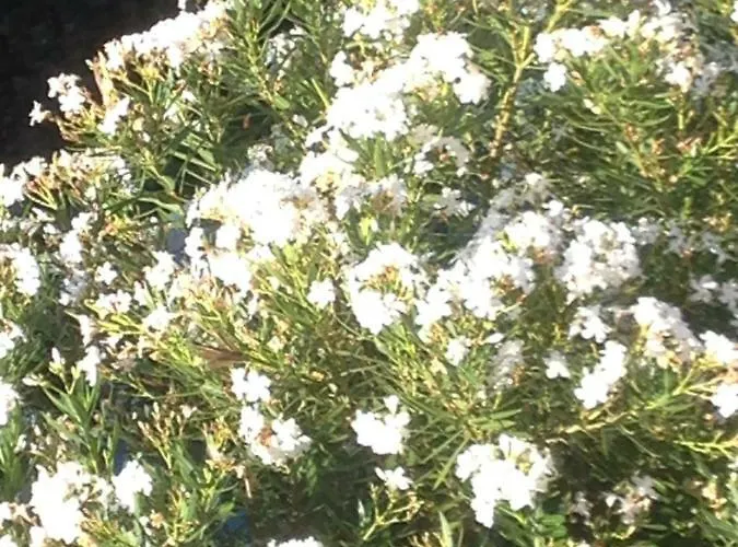 B.e.a. Maison Λα Σπέτσια