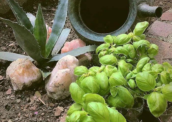 Panzió B.e.a. Maison La Spezia