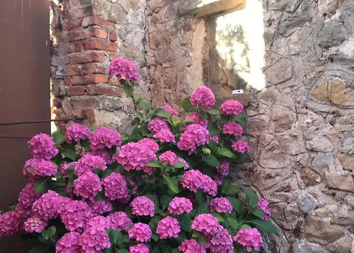 B.e.a. Maison 3* Λα Σπέτσια